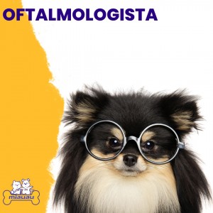 Oftalmologista