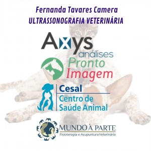 Fernanda Tavares Camera ULTRASSONOGRAFIA VETERINÁRIA