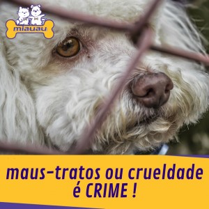 maus-tratos ou crueldade é CRIME !