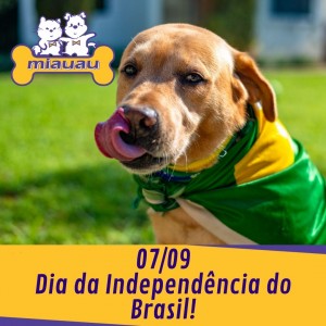 0709 Dia da Independência do Brasil!