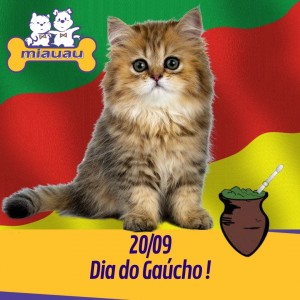 2009 Dia do Gaúcho !